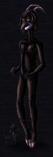 Ross Jones © Robin Grimmgall.